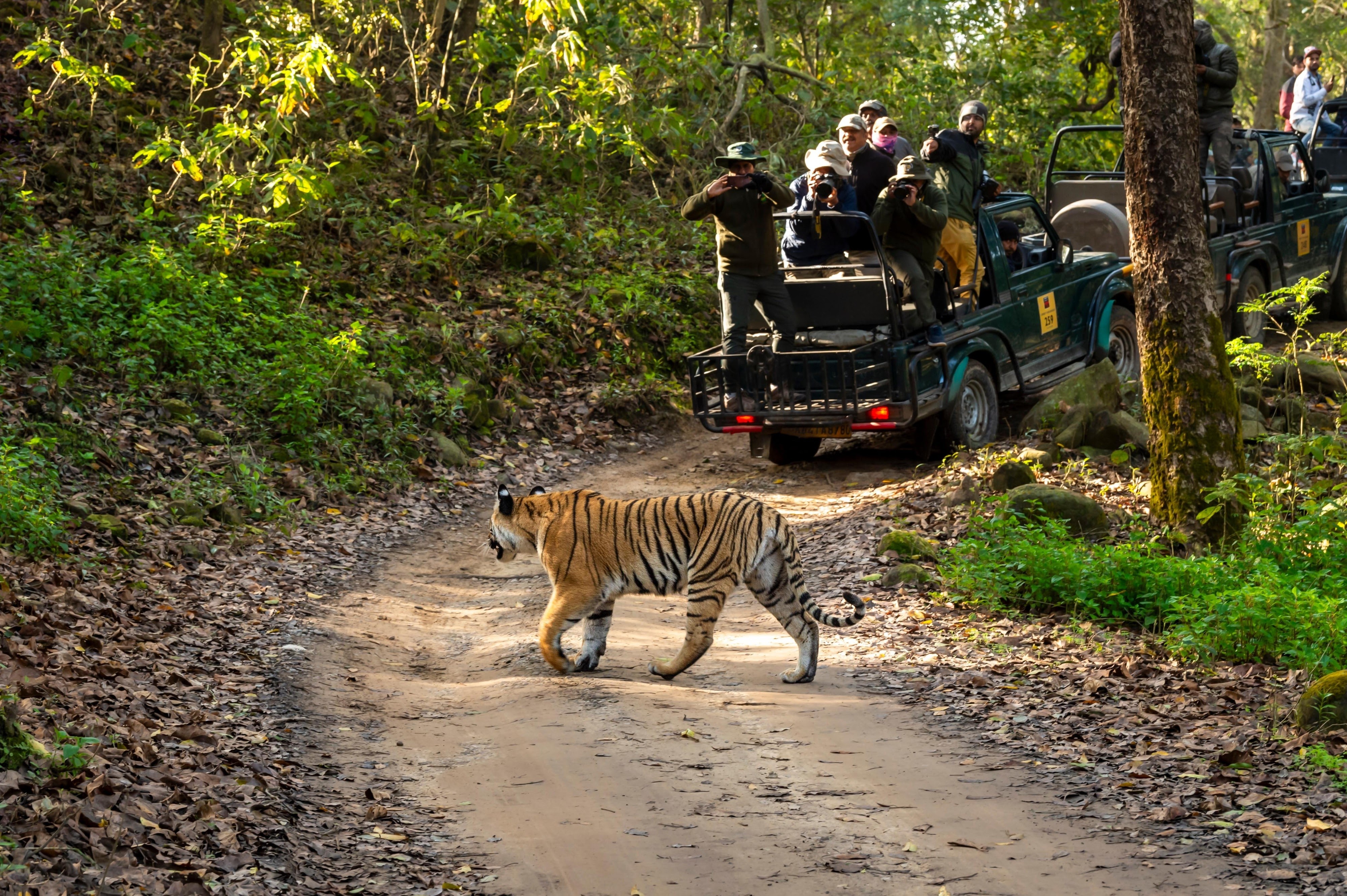 Jim Corbett